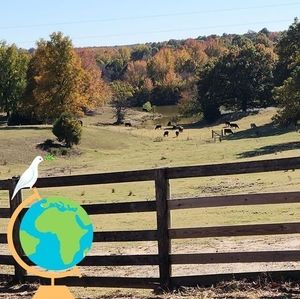 Meet your Posher, Kenny